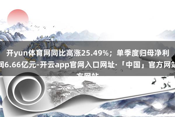 开yun体育网同比高涨25.49%；单季度归母净利润6.66亿元-开云app官网入口网址·「中国」官方网站