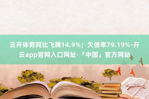 云开体育同比飞腾14.9%；欠债率79.19%-开云app官网入口网址·「中国」官方网站