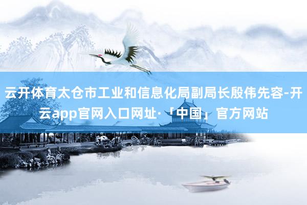 云开体育太仓市工业和信息化局副局长殷伟先容-开云app官网入口网址·「中国」官方网站